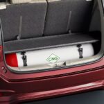 maruti-suzuki-ertiga-CNG Car